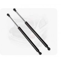 AMORTIGUADOR GAS PORTON TRASERO